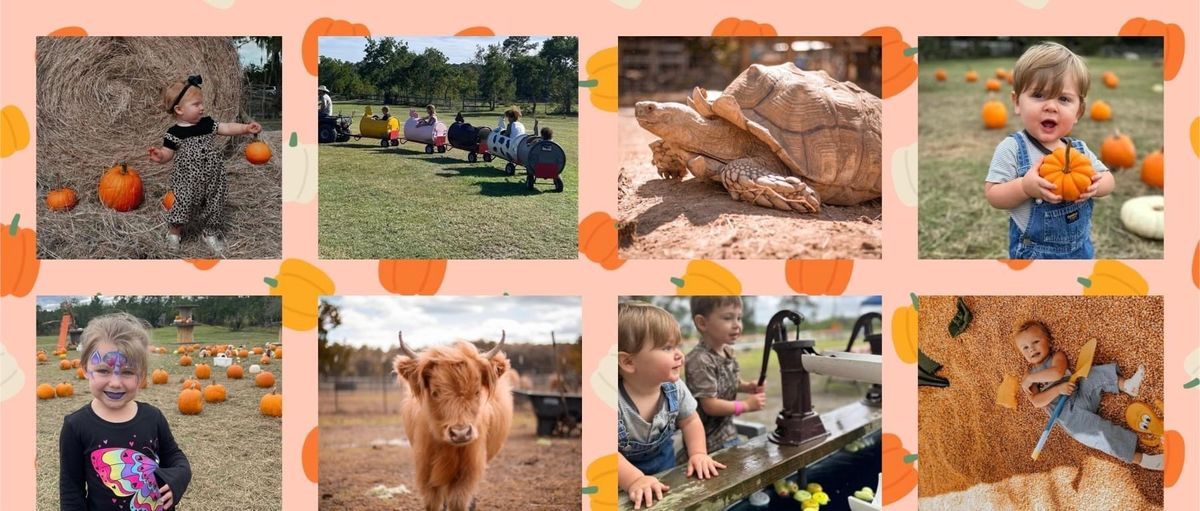 Fall on the farm. Pumpkin patch at Triple J Stables & Petting Zoo \ud83c\udf3e\ud83c\udf83