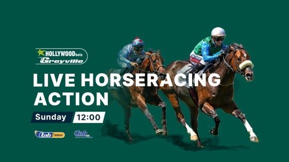 17 NOVEMBER 2024 - Sunday Race Meeting at Hollywoodbets Greyville Racecourse