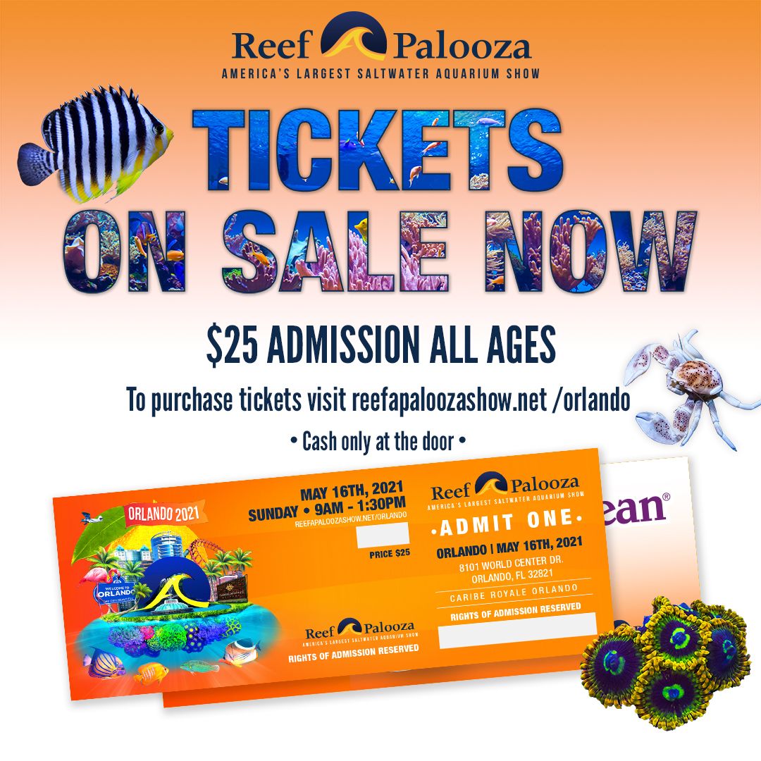 Reefpalooza - Sunday at Anaheim Marriott