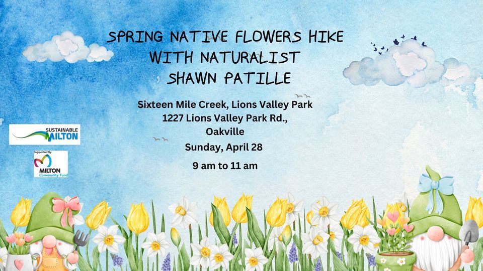 Spring Native Flowers Hike