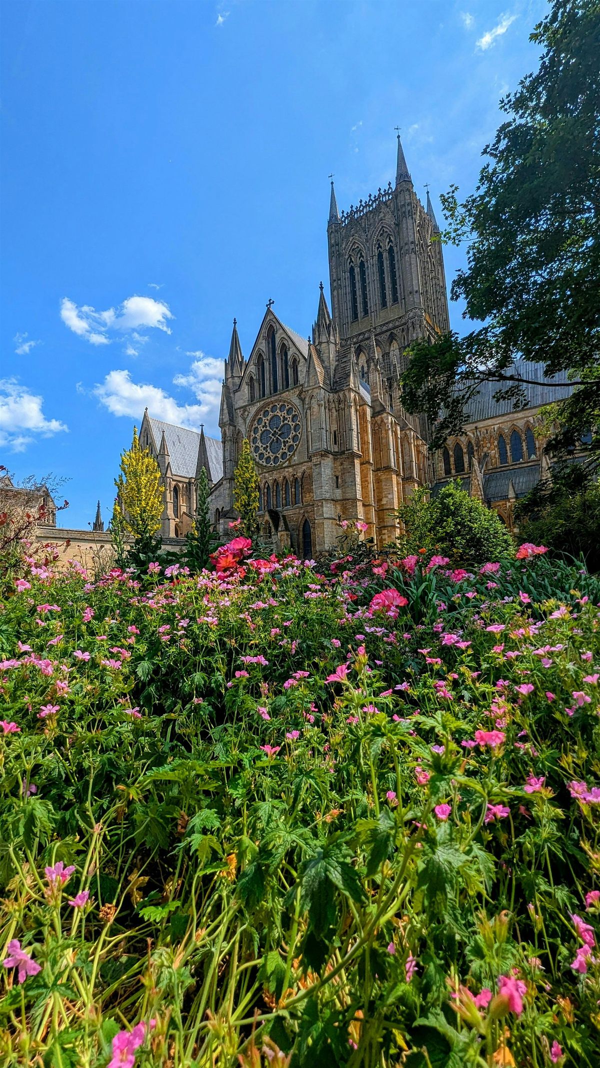 Lincoln Walking Tour - Steep Hill, Cathedral and Castle