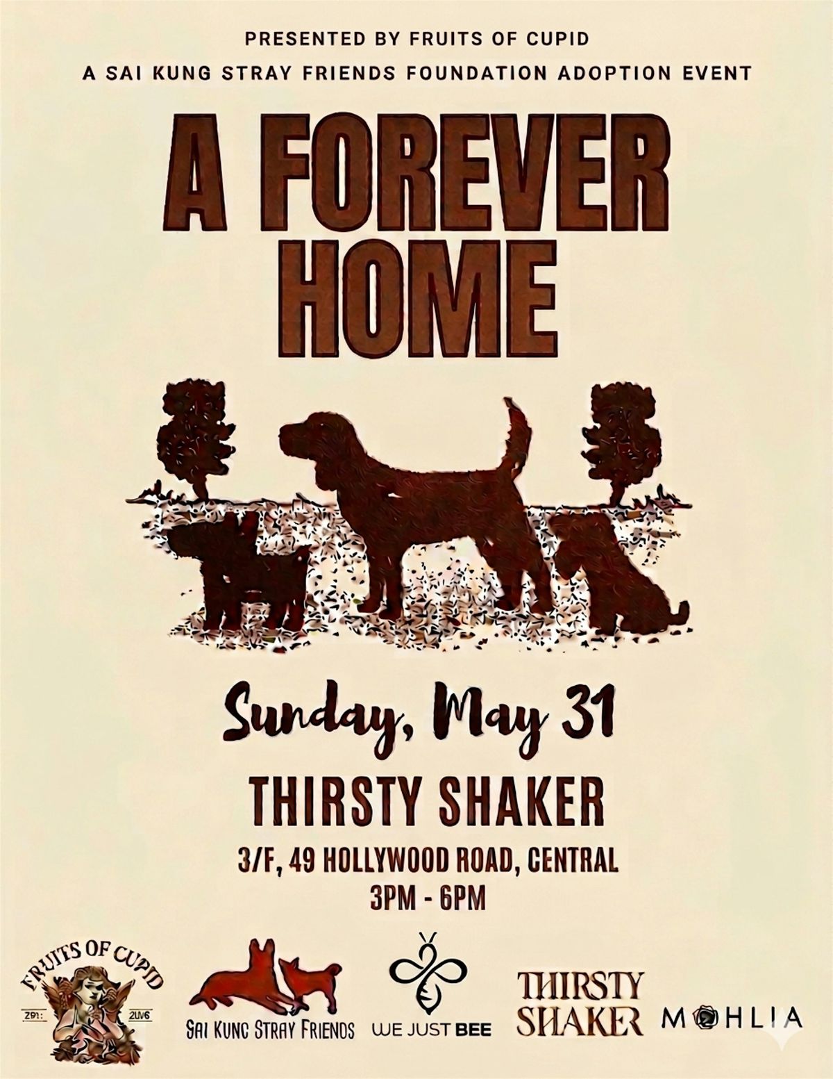 Sai Kung Stray Friends Foundation Adoption and Fundraising Event
