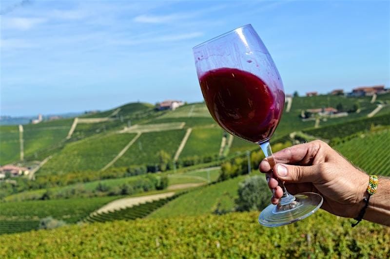 Discover the Wines of Piemonte, Italy