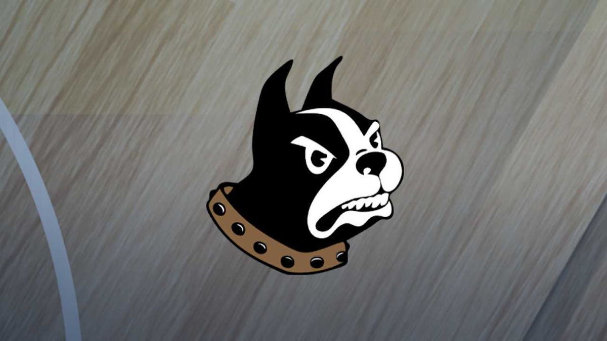 Parking King Tornado at Wofford Lady Terriers Womens Basketball