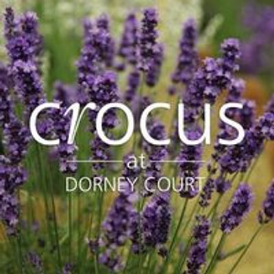 Crocus at Dorney Court