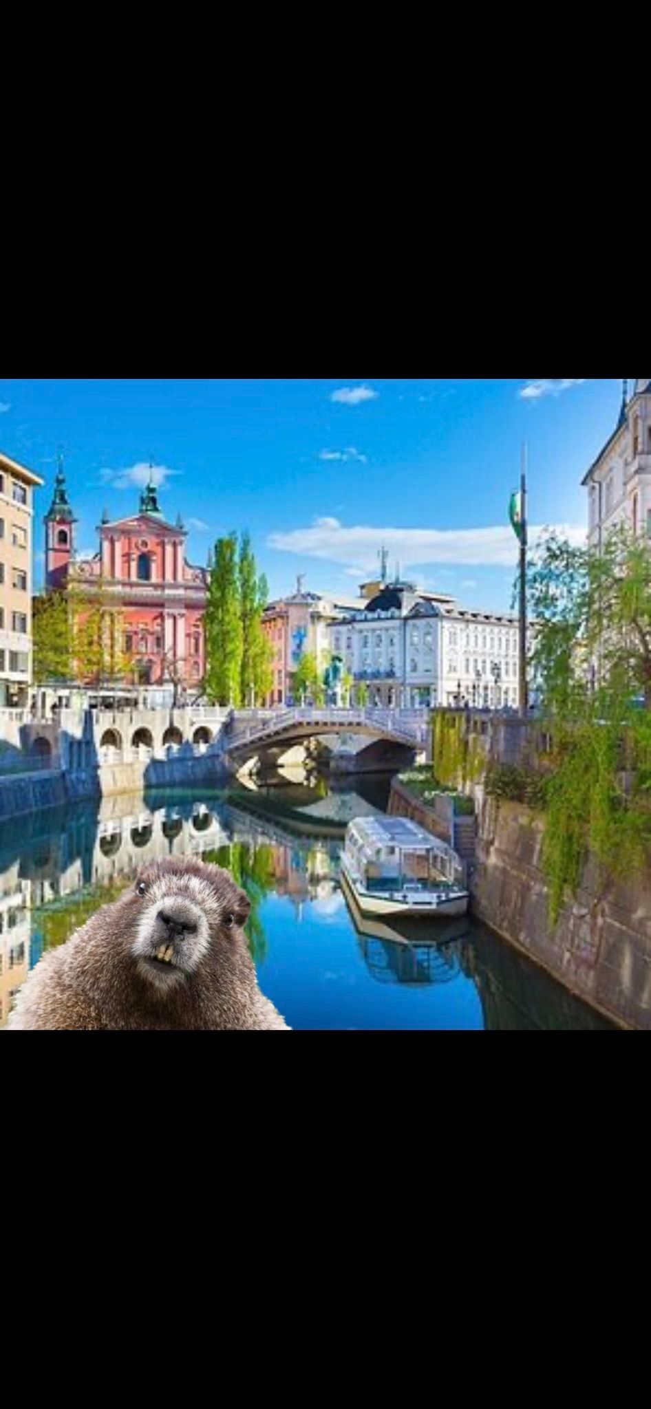 Snorkling v Ljubljanici