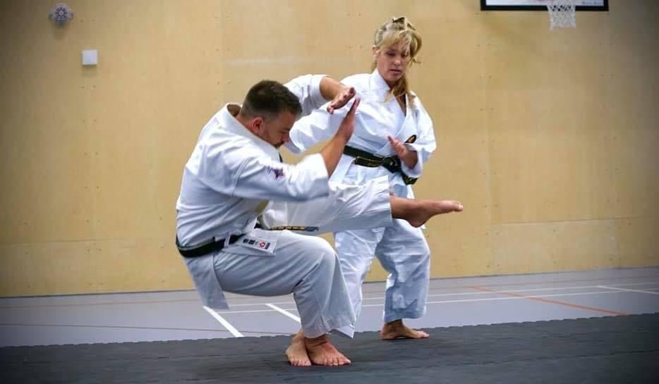 Sensei's Paul and Michelle Enfield - Oxfordshire UK Seminar