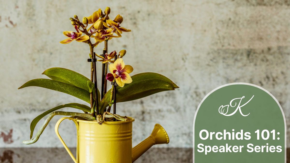 Speaker Series: Orchids 101