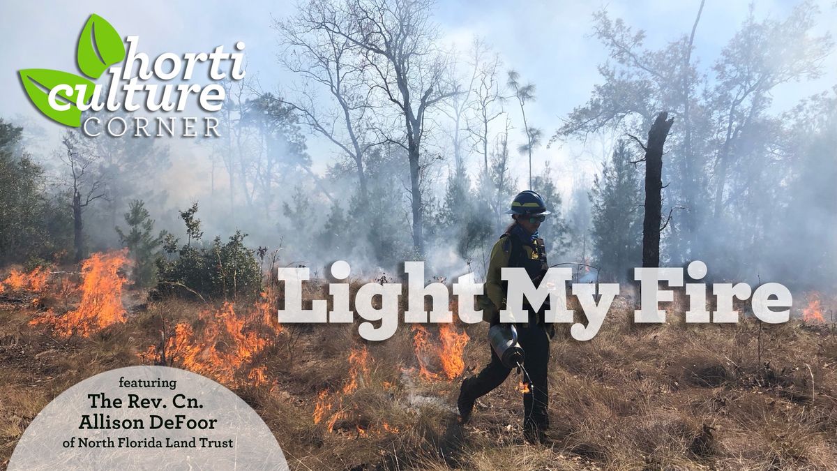 Horticulture Corner: Light My Fire