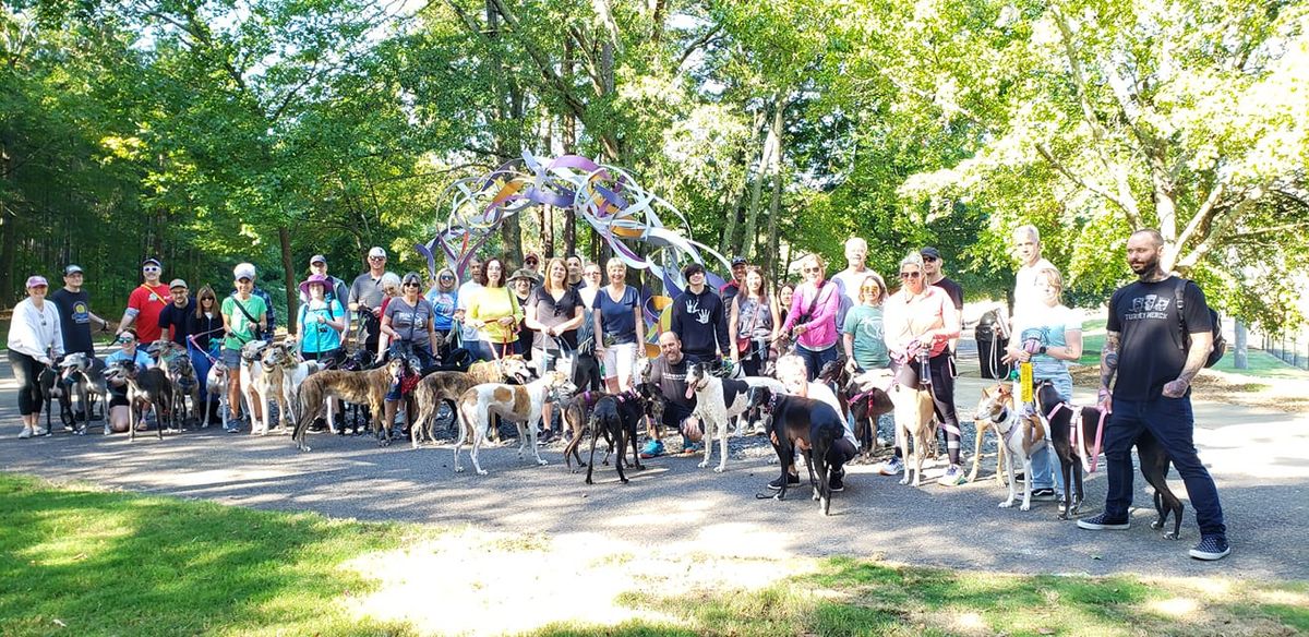 2nd Annual "Great Global Greyhound Walk"