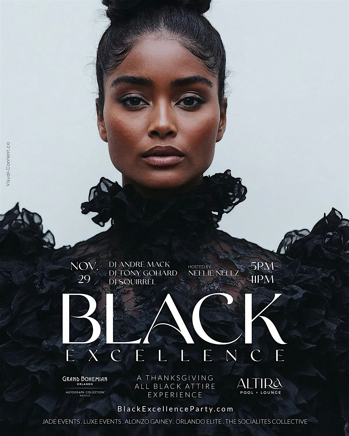 Black Excellence - A Thanksgiving Weekend All Black DAY Party Experience