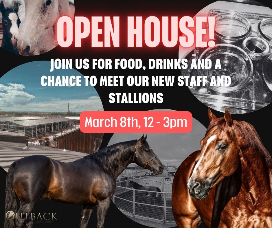 Open House & Stallion Showcase