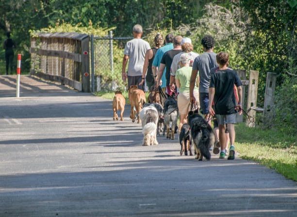 Social Walk \/ Lernspaziergang 