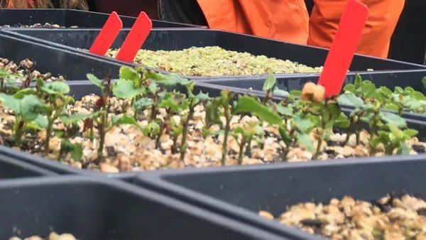 Propagating Native Plants at Home, a talk by Stanley Gu