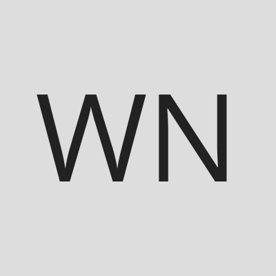 WSH BME Kidney Network