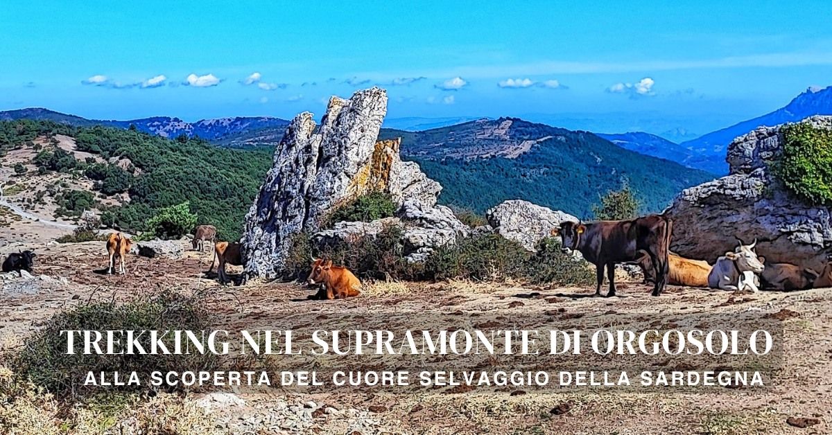 Trekking nel Supramonte di Orgosolo: alla scoperta del cuore selvaggio della Sardegna