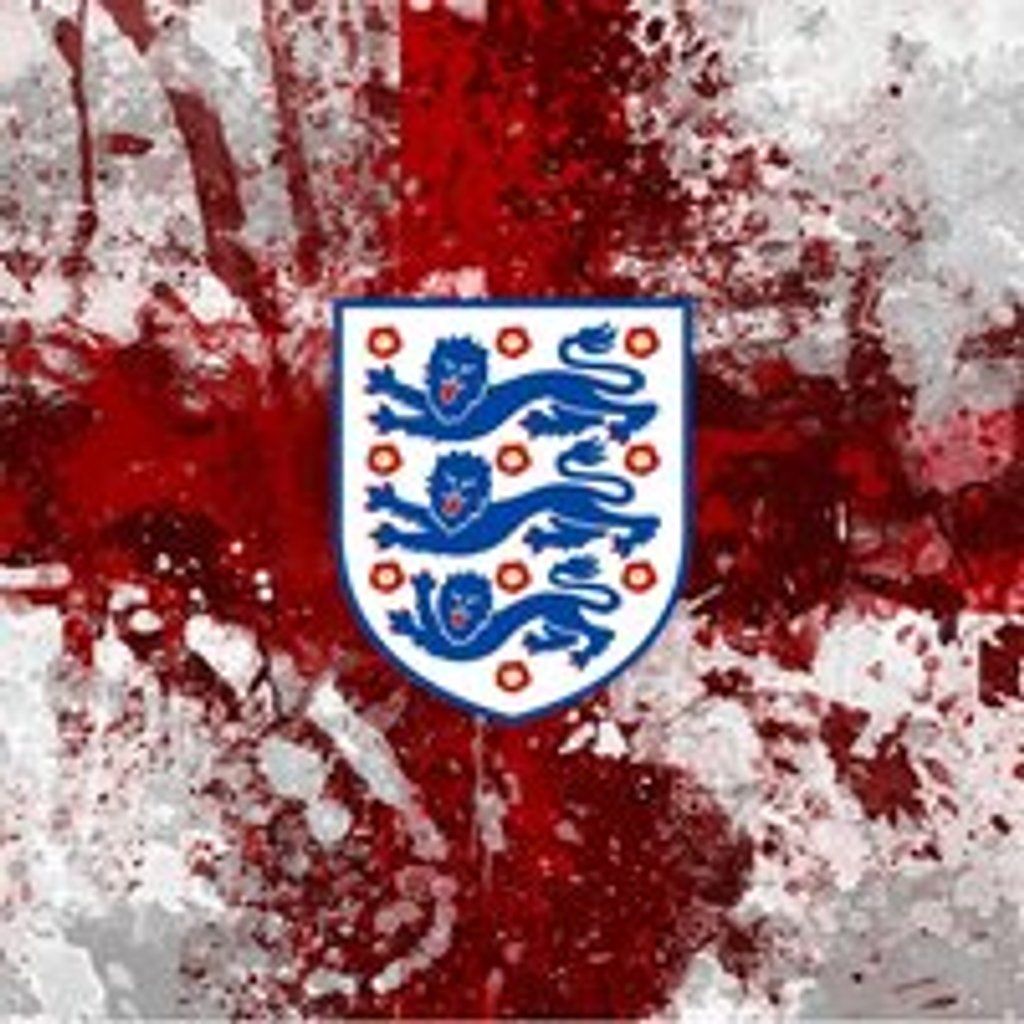 England vs Wales (Fan Zone)