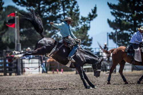 Canterbury Rodeo 2025