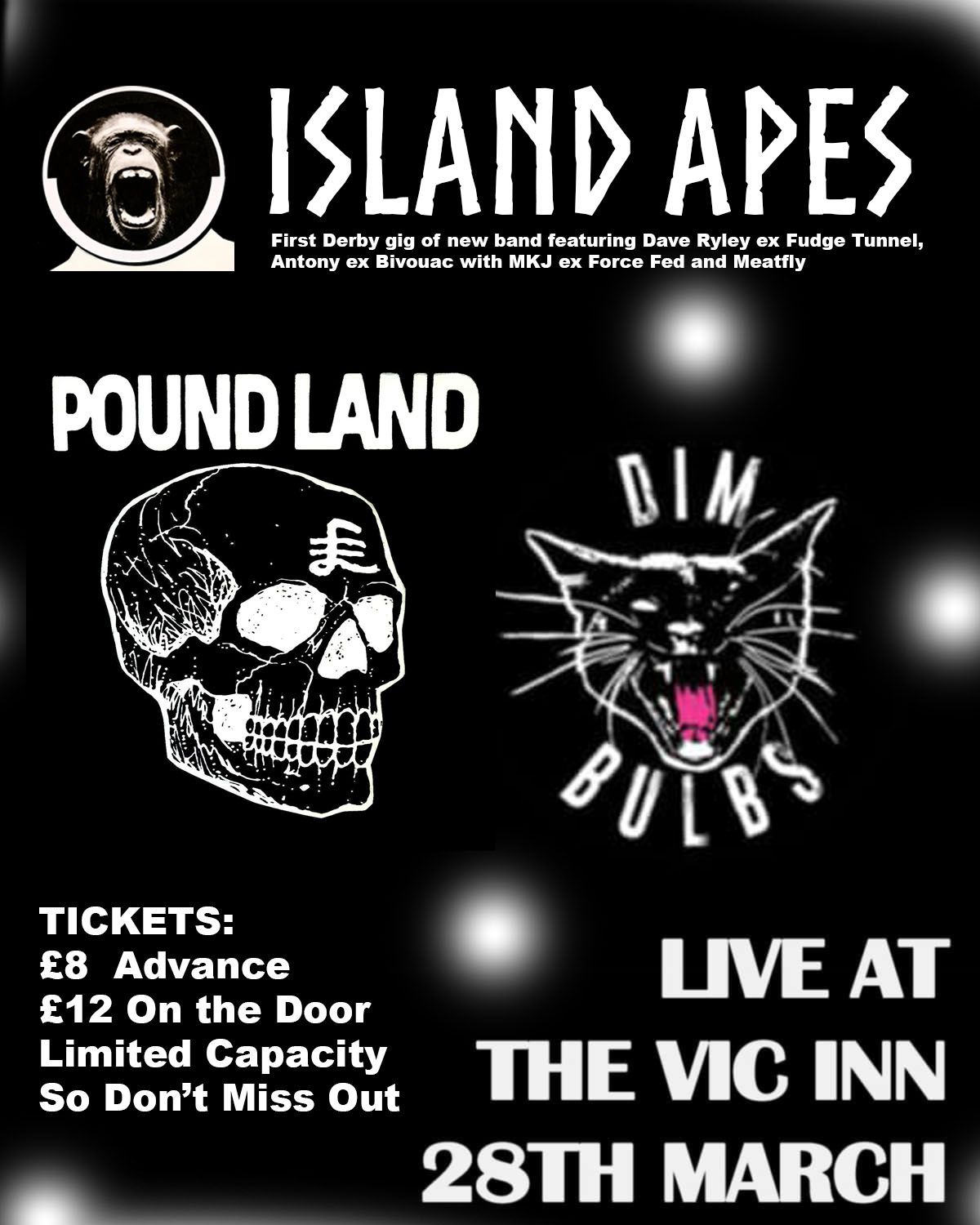 ISLAND APES - First Derby Gig \/ Support from Pound Land & Dim Bulbs