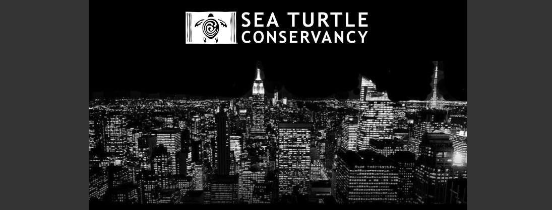 Sea Turtle Social in NYC