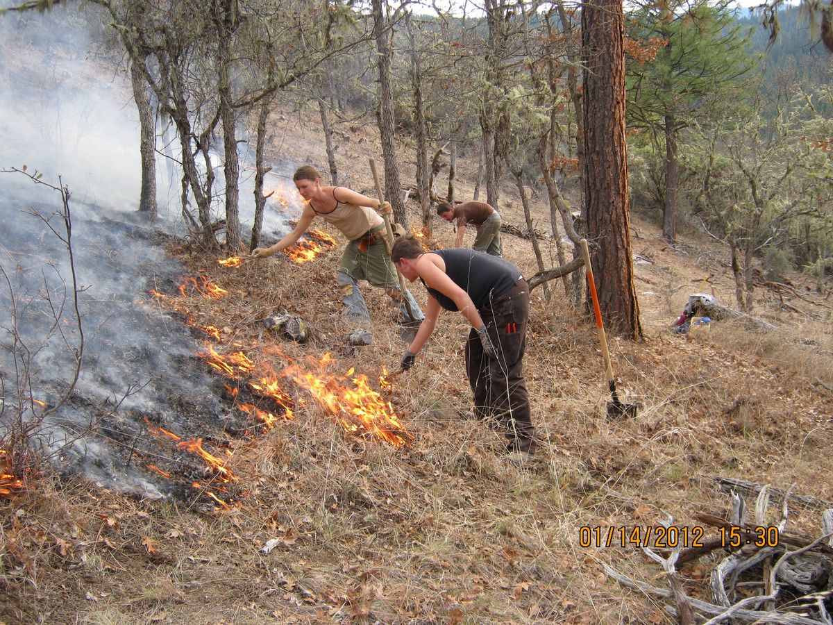 Social Forestry Course