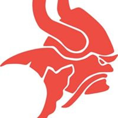 Tuggeranong Vikings Swim Club