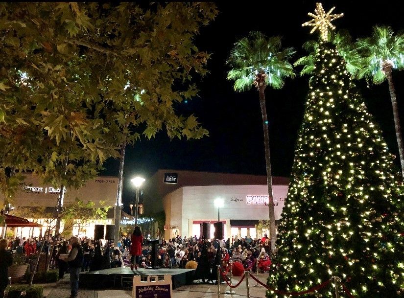 2024 Tree Lighting with Hinds Hospice