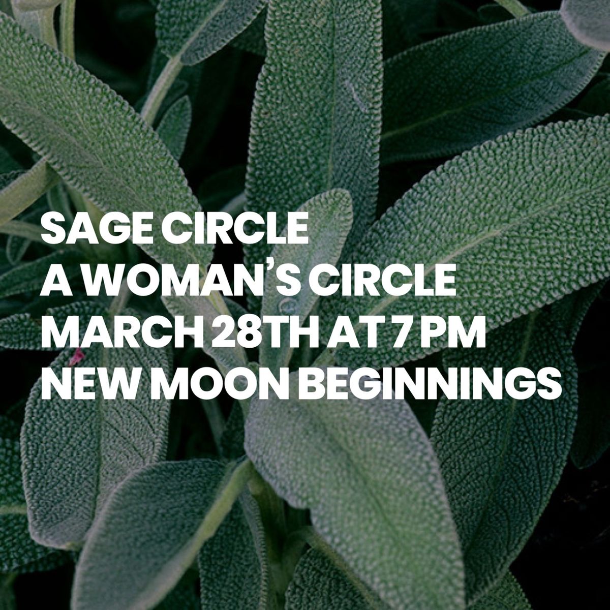  Sage Circle  A New Moon Woman\u2019s Circle 