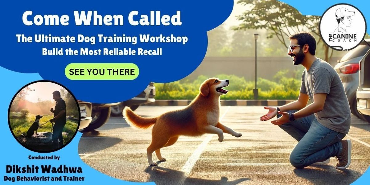 Come When Called: The Ultimate Recall Workshop