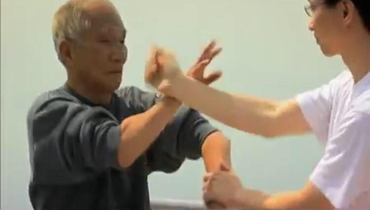 Wing Chun Fast Track Beginners Course