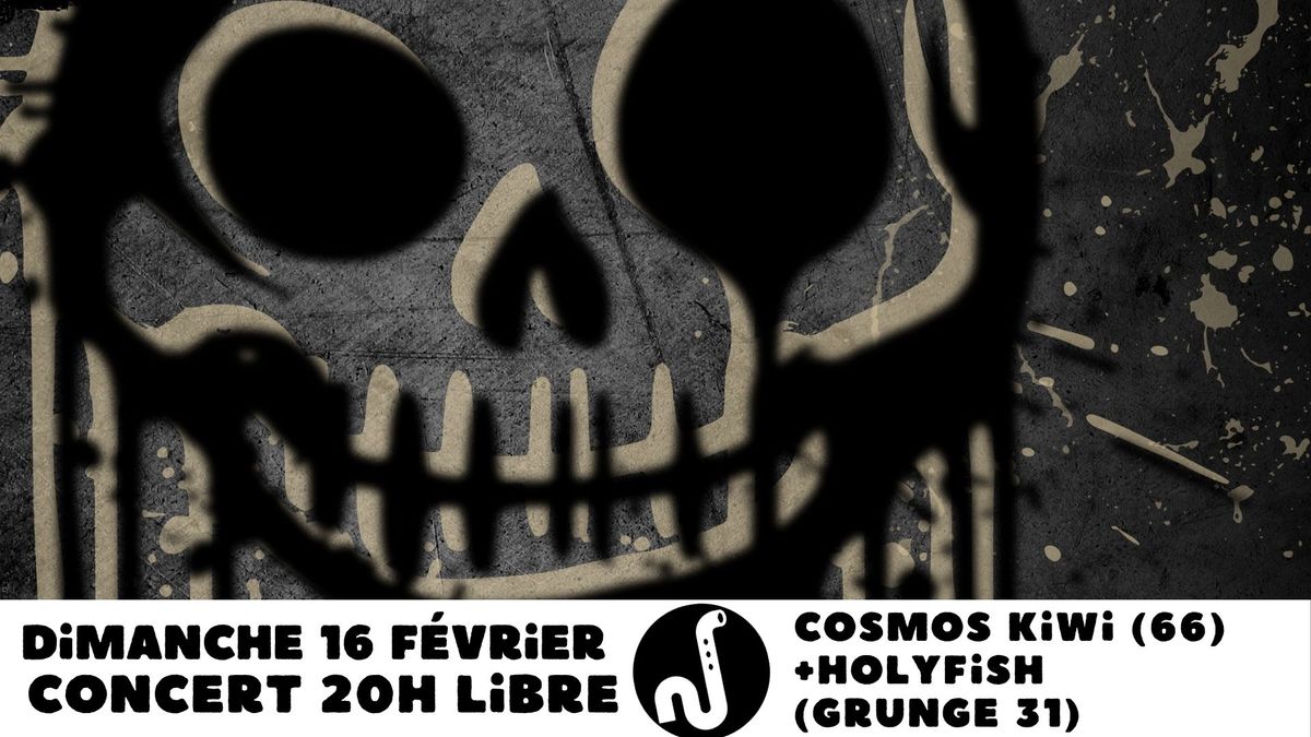 Cosmos Kiwi (pop\/punk-rock PERPIGNAN), Holyfish (grunge TOULOUSE)