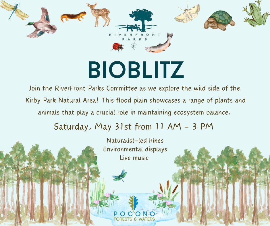 BioBlitz