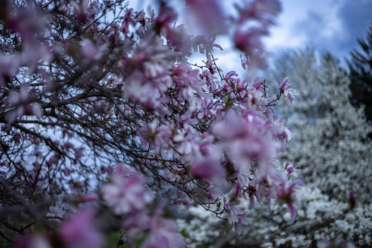Arboretum Photo Walk