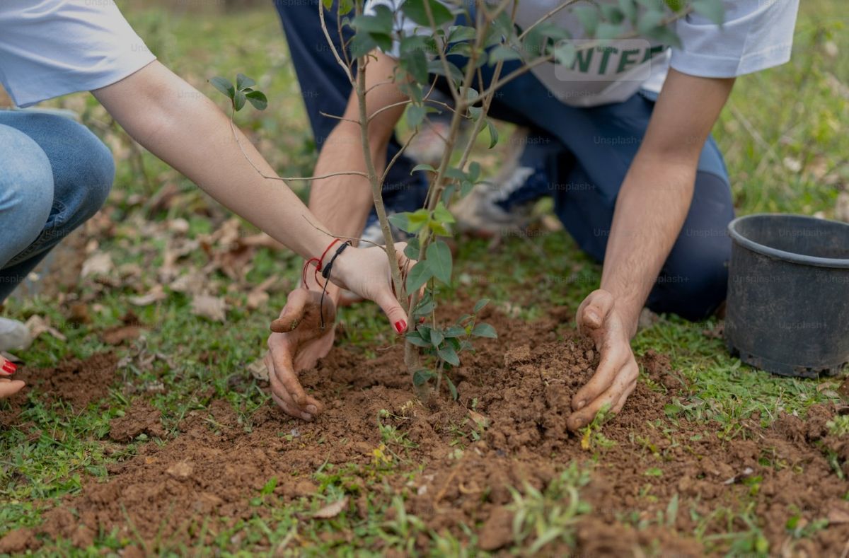 2025 Arbor Week Celebration 