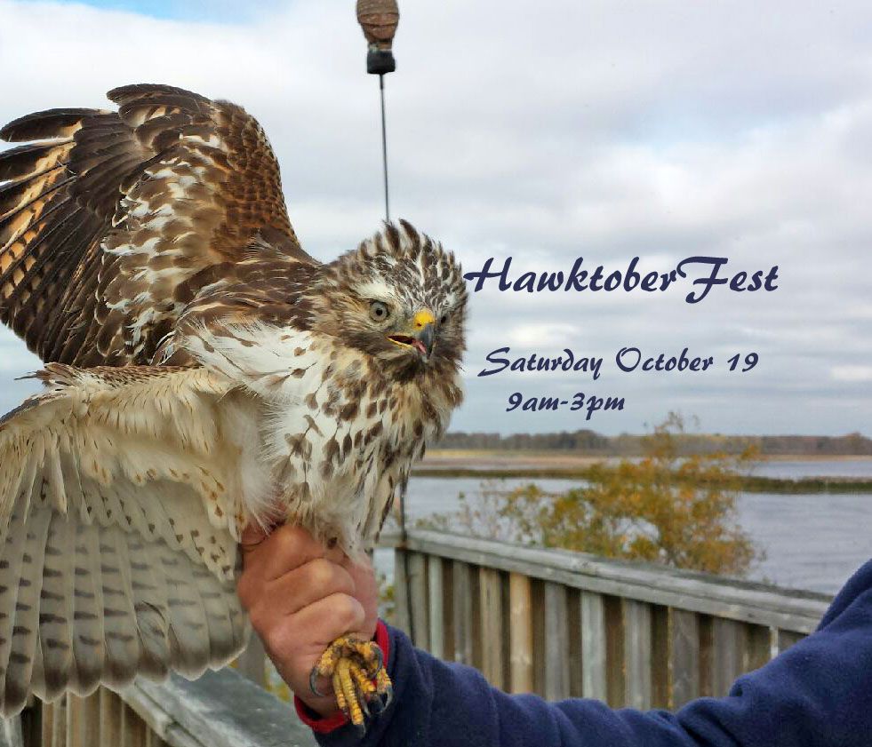 HawktoberFest 