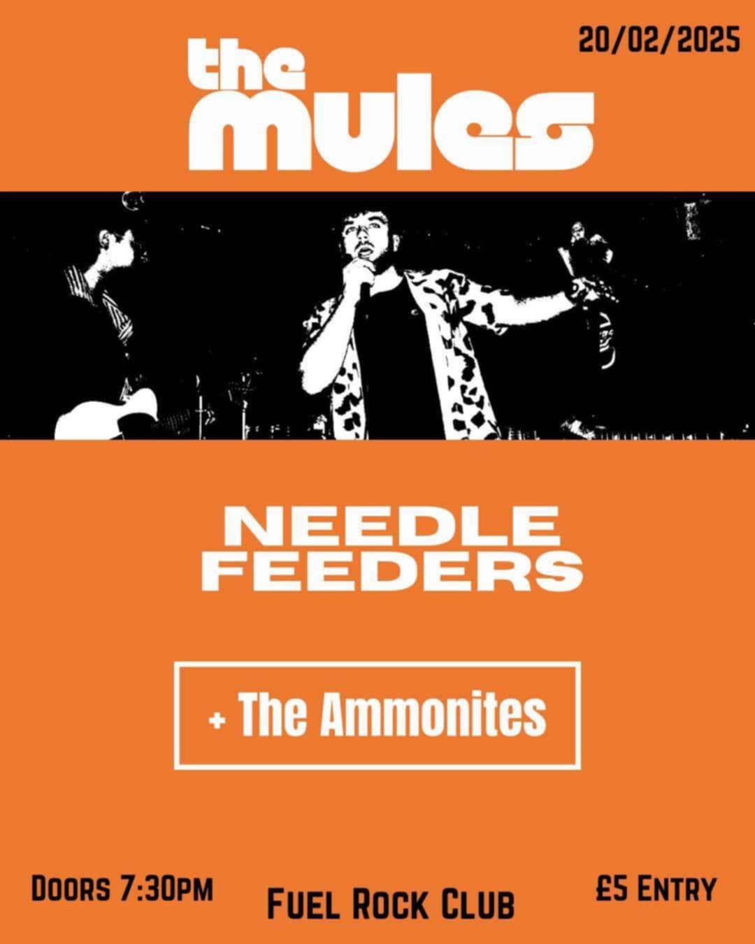 The Mules, Needlefeeders, The Ammonites