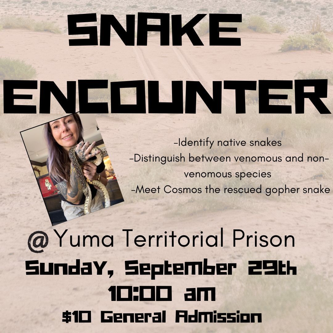 Snake Encounter at the Yuma Territorial Prison