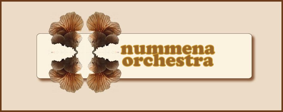 nummena orchestra performance at Oppenheimer Park