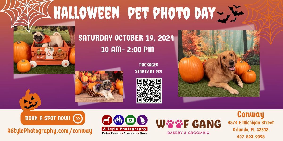 Halloween Pet Photos