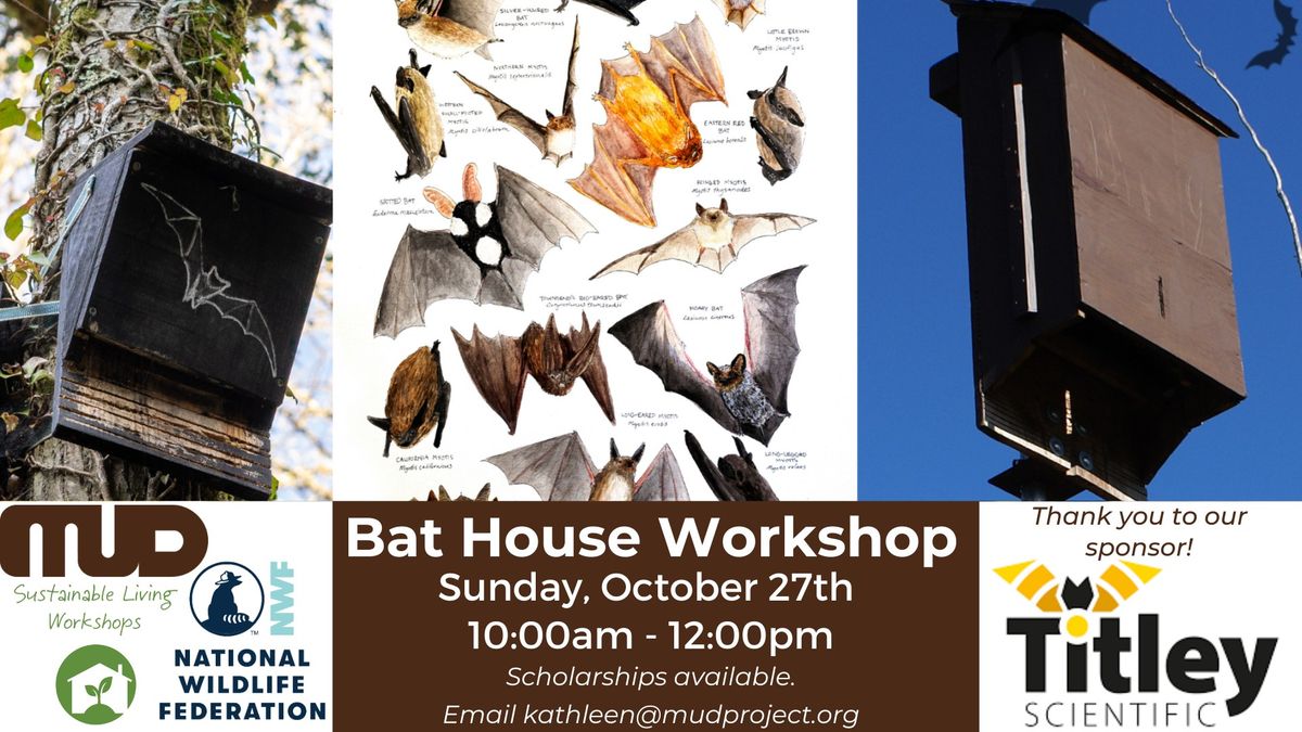 Bat House Workshop