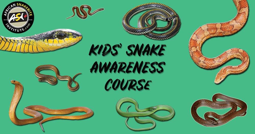 Kids' Snake Awareness course
