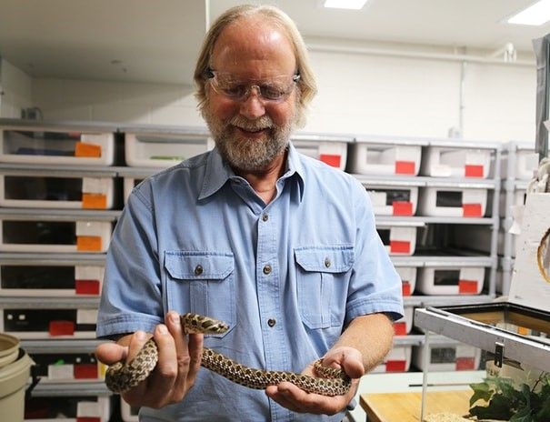 Snake Venoms: From Deadly Toxins To Life-Saving Therapeutics