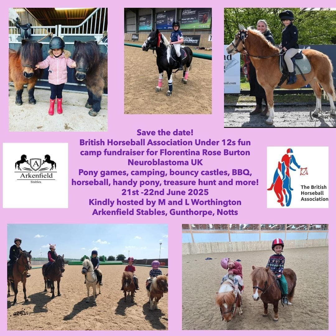 British Horseball Association Mini Camp