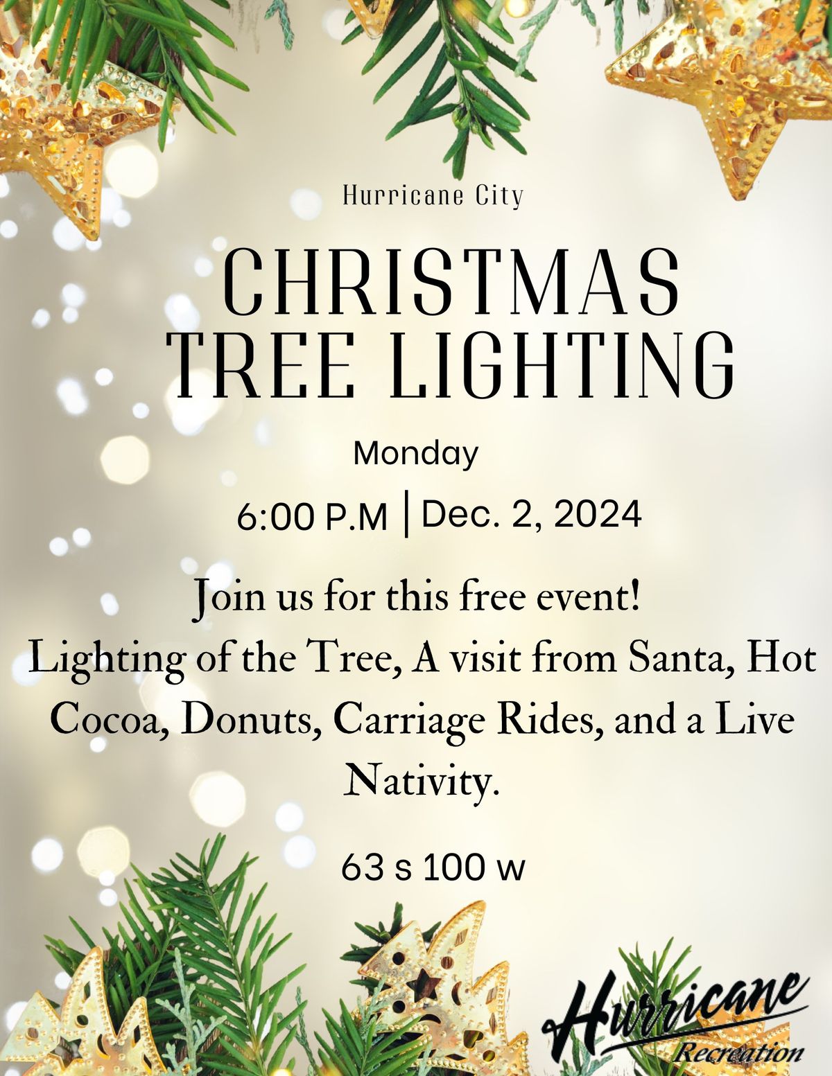 The Christmas Tree LIGHTING!