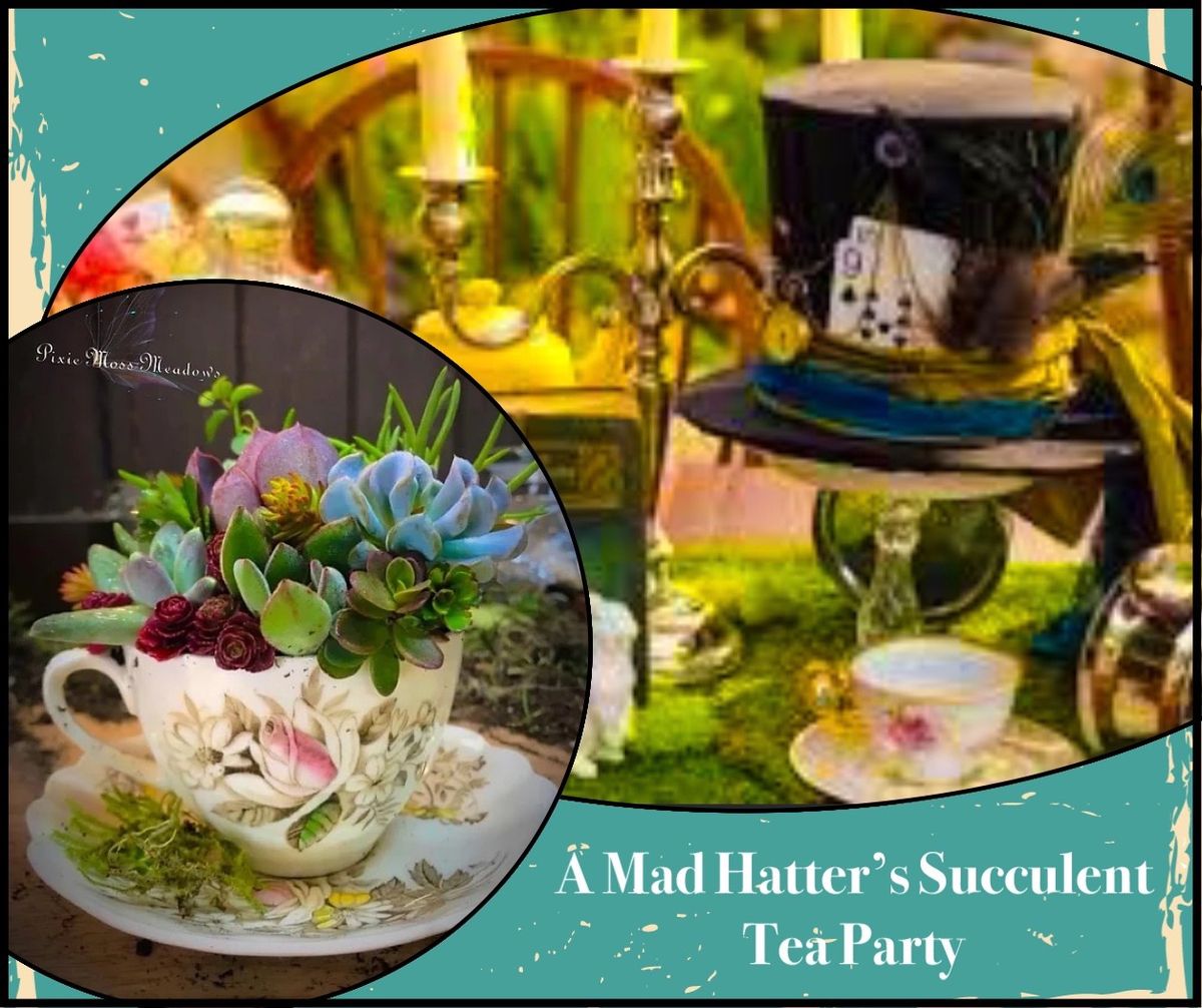 A Mad Hatters Succulent Tea Party 