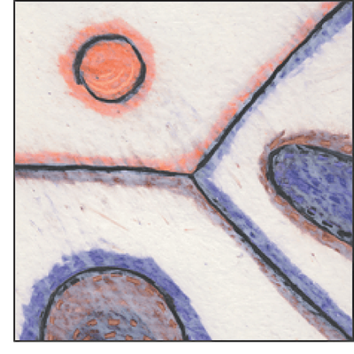 Wellcome\/CRUK Gurdon Institute