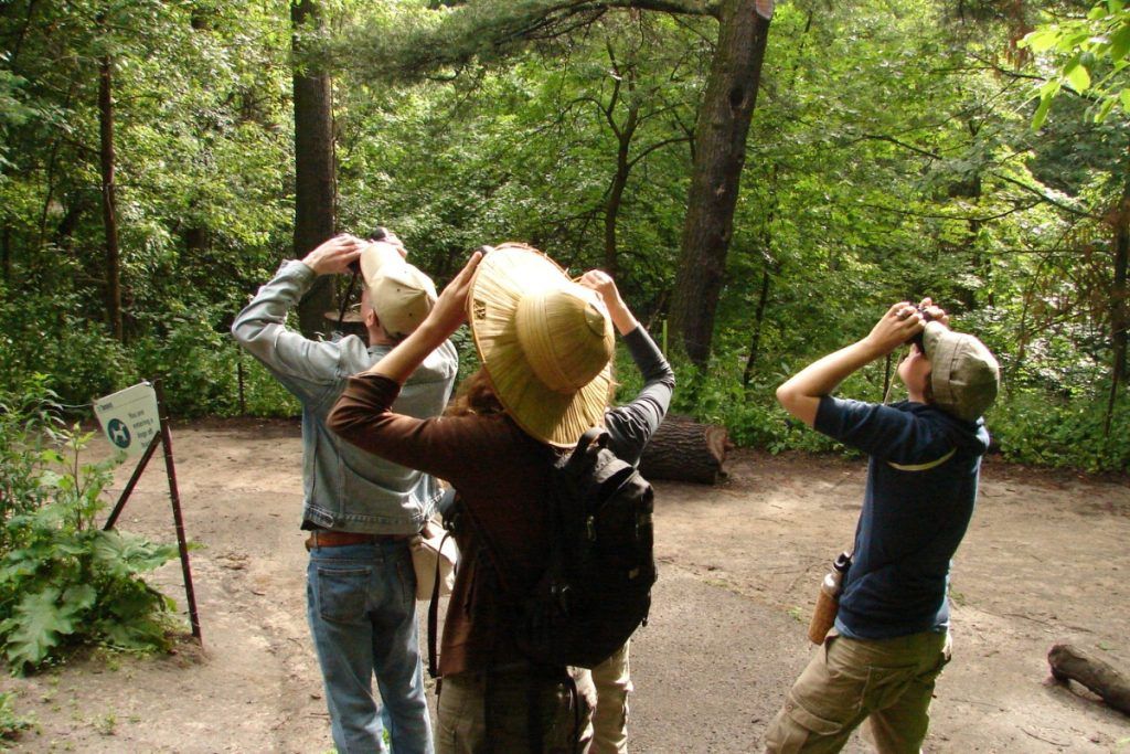 Birding 101 on October Big Day in High Park