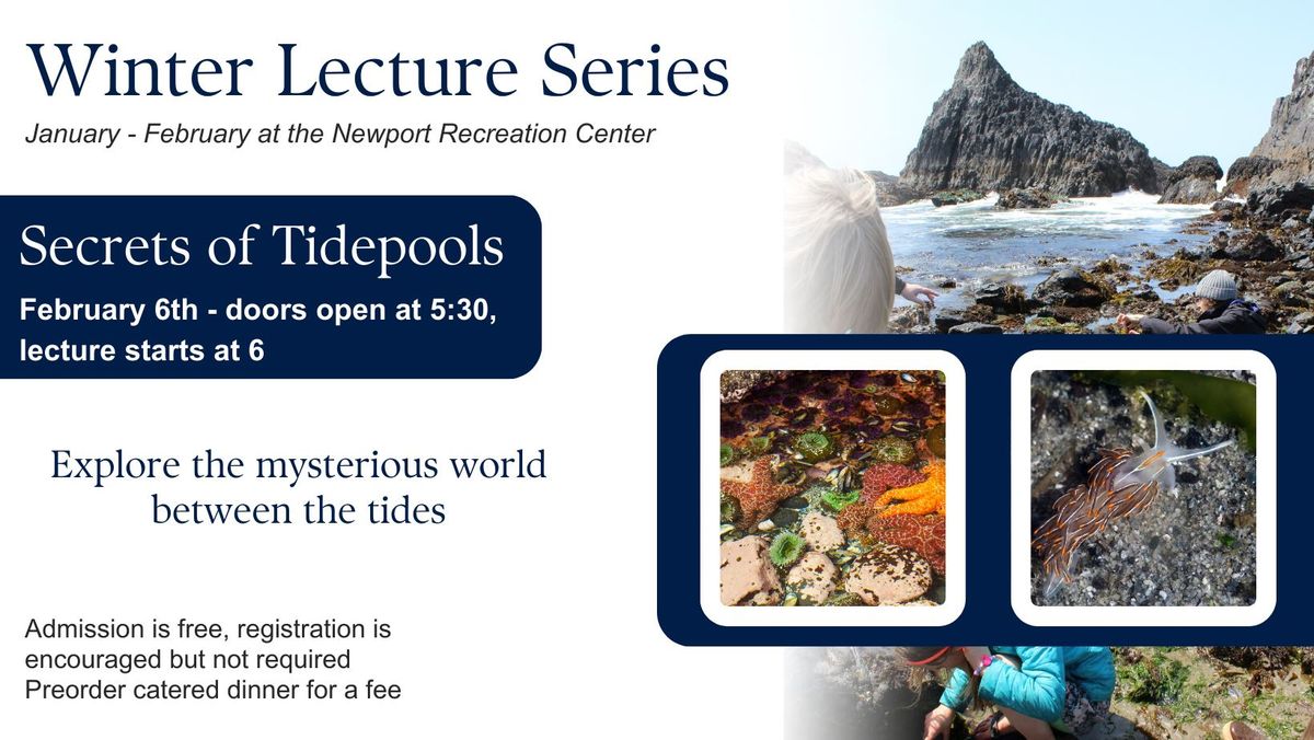 Secrets of Tidepools