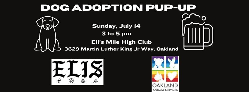 Dog Adoption Pup-Up at Eli's Mile High Club