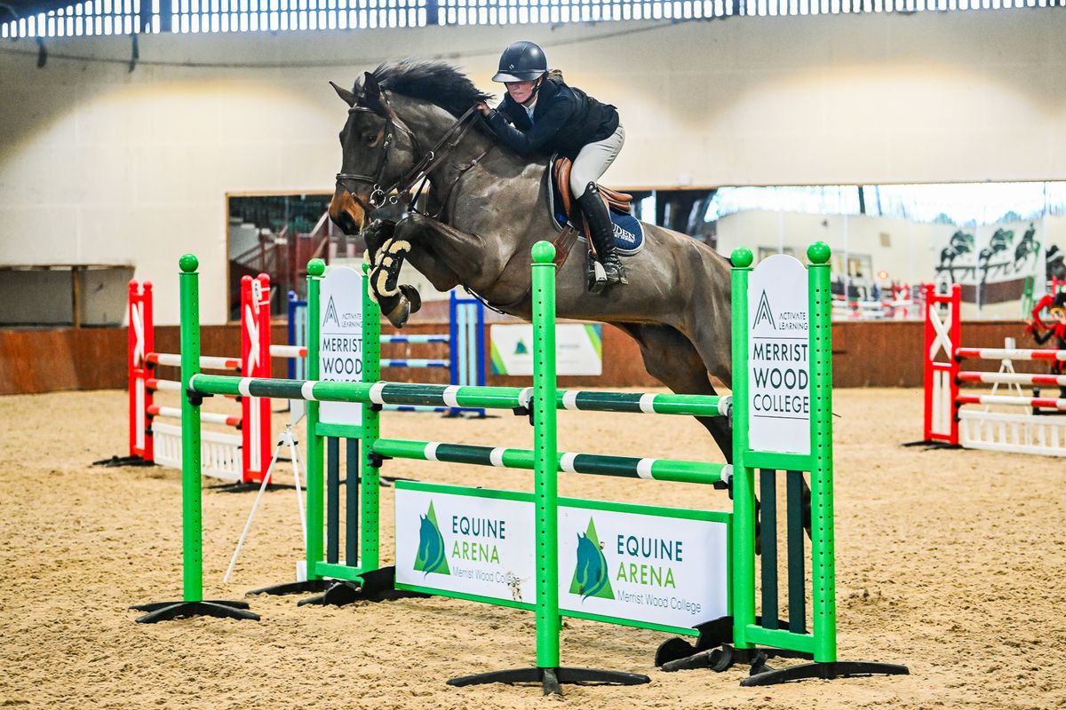 British Show Jumping Cat 1  inc Bliss Novice BC Q